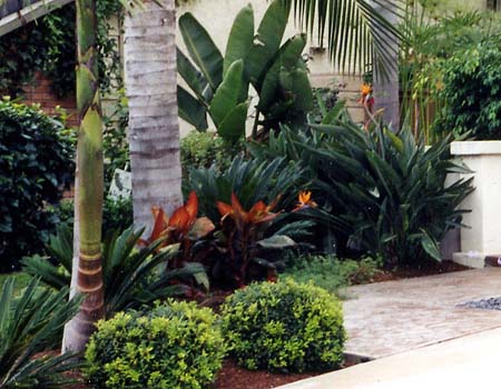 Concrete Contractor Installation