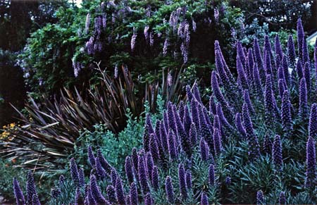 Designs for Water Conservation