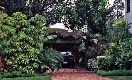 Driveway with Tropical Plant Landscape Design